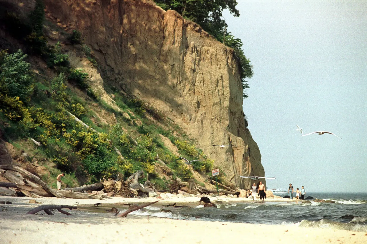 Klif w rezerwacie przyrody Kępa Redłowska, plaża z ludźmi i mewami w locie.