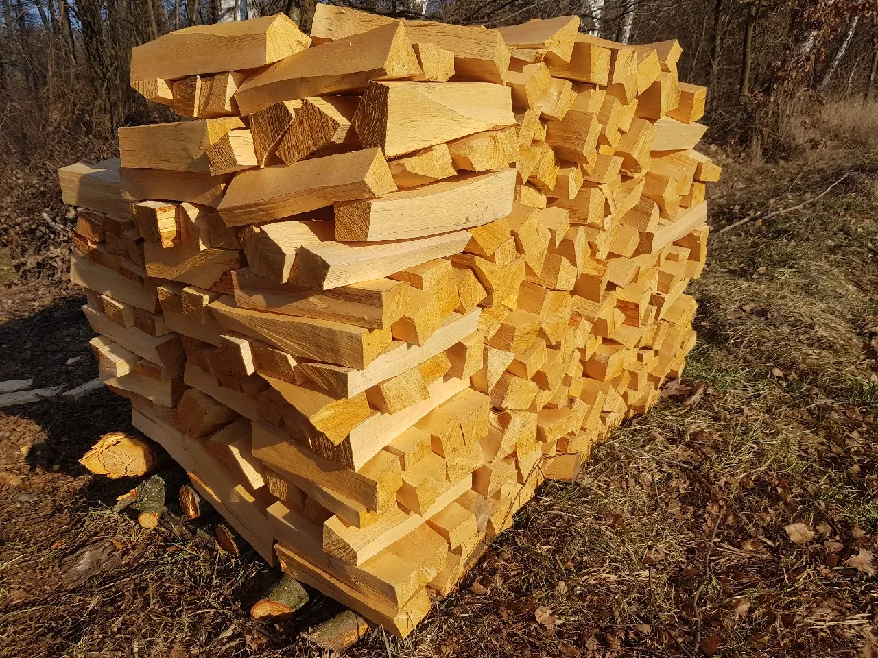 Stos świeżo pociętego drewna, idealnego jako jakie drewno do wędzenia kiełbasy. Jasne, suche kawałki drewna ułożone w stos.