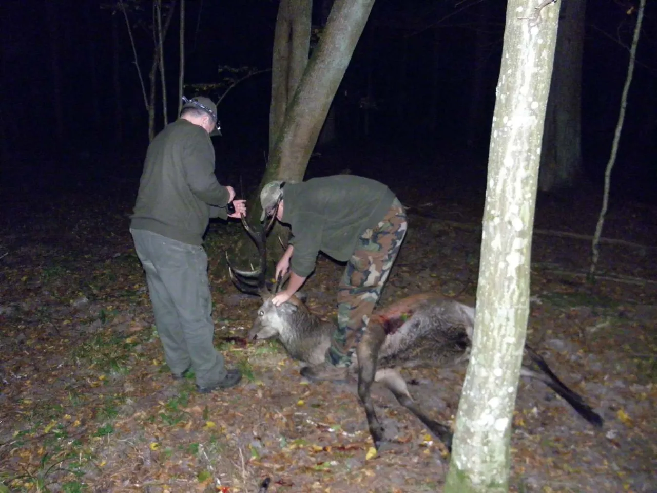 Nielegalne polowanie na zwierzynę