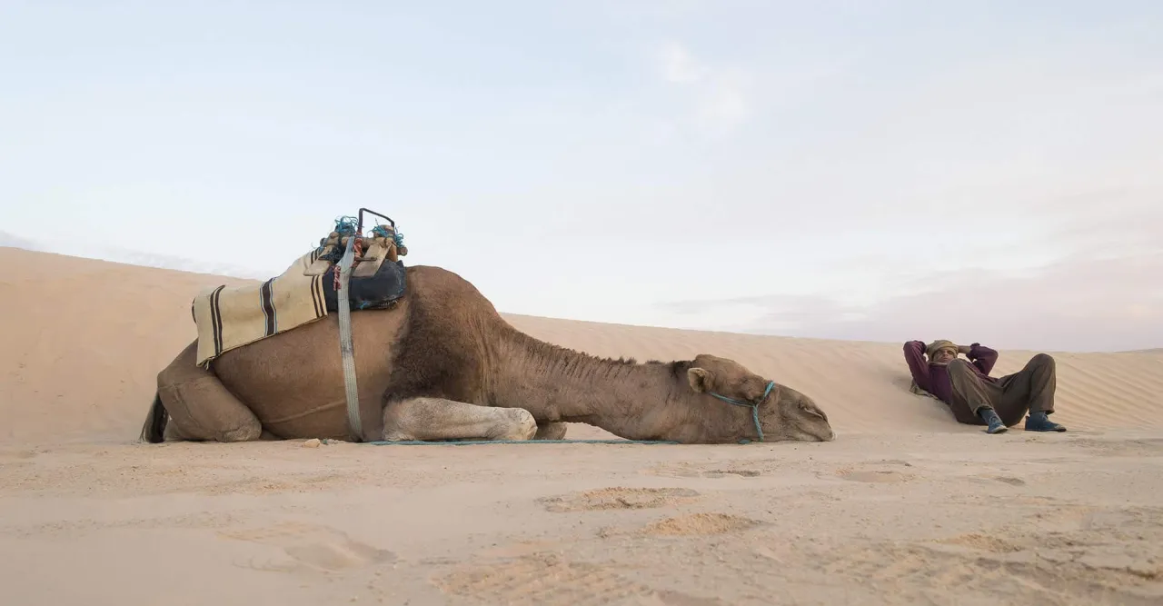 Sahara Tunezja wydmy