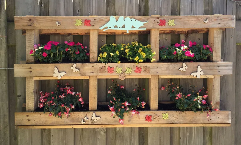 aranżacje kwiatów w paletach