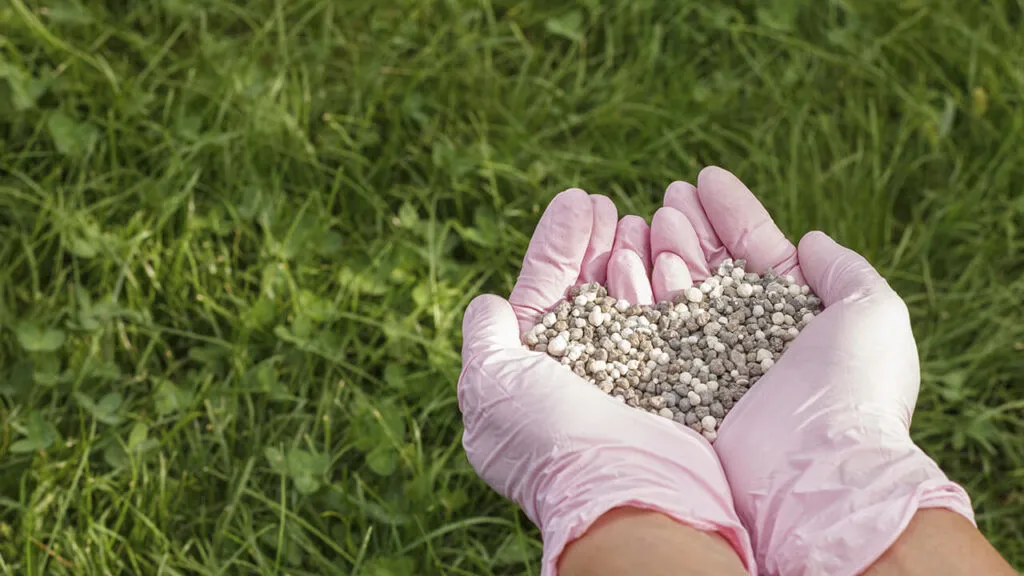 Zdjęcie Siarczan amonu na trawnik: Kiedy i jak stosować? Poradnik