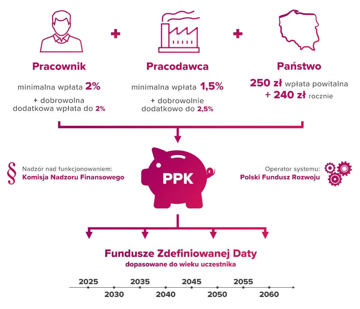 Pracownicze Plany Kapitałowe infografika