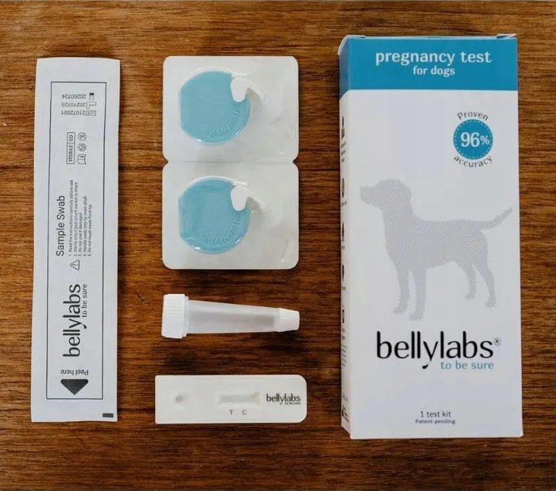 domowy test ciążowy dla psa zestaw