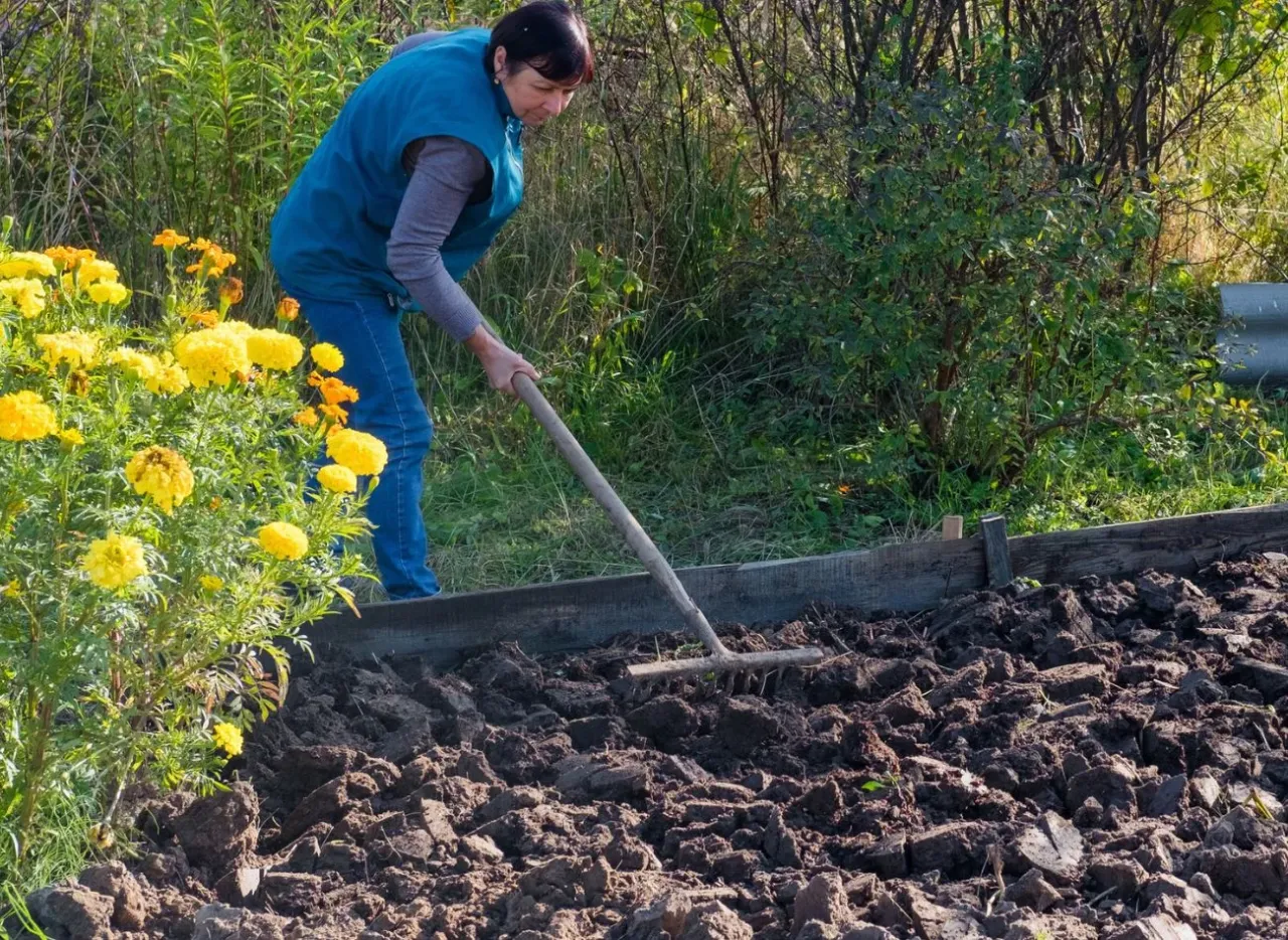 Poprawa gleby gliniastej kompost