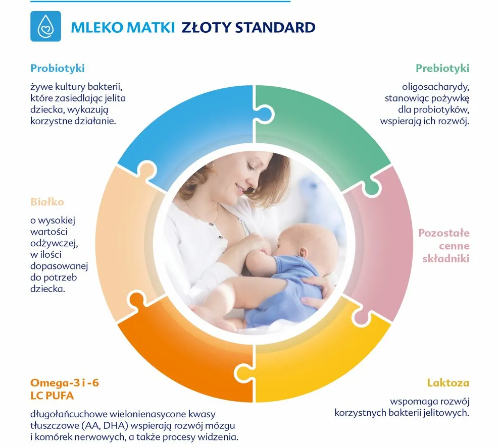 schemat faz mleka matki w trakcie karmienia