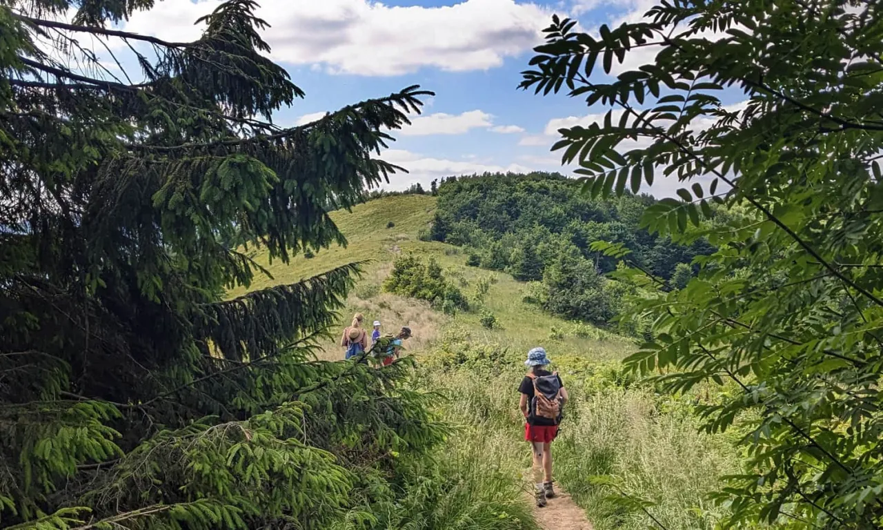 łatwe szlaki bieszczady widoki