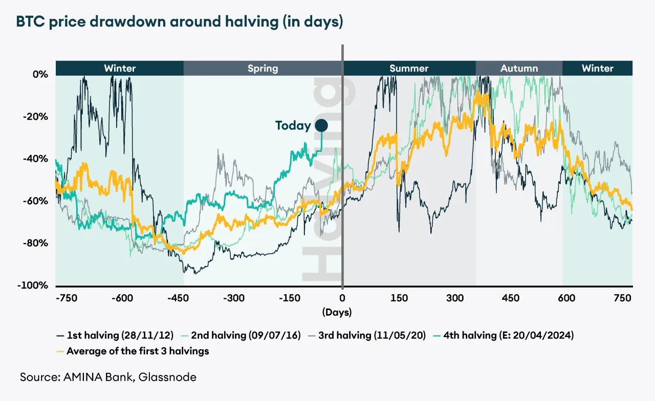 Bitcoin halving price chart history