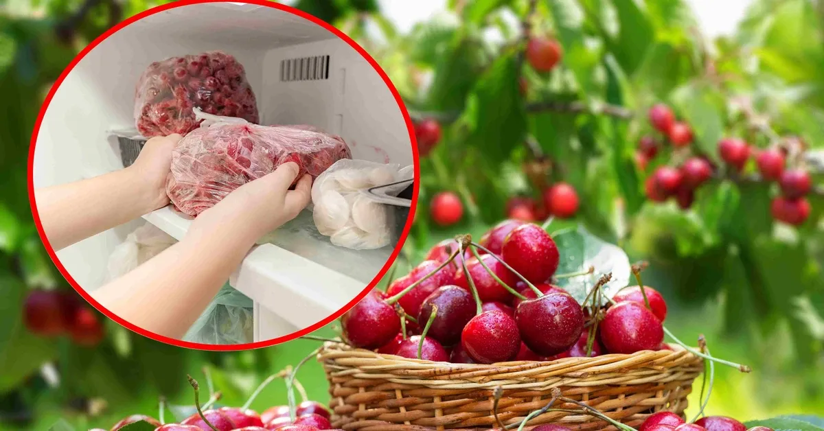 mrożenie czereśni z pestkami vs bez, por&oacute;wnanie