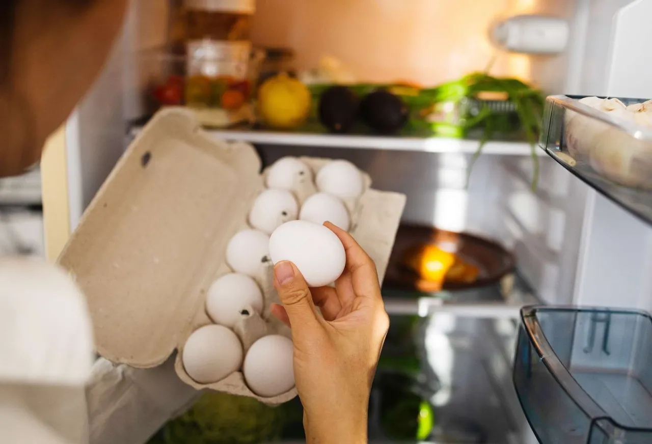lodówka wnętrze z jajkami na półce