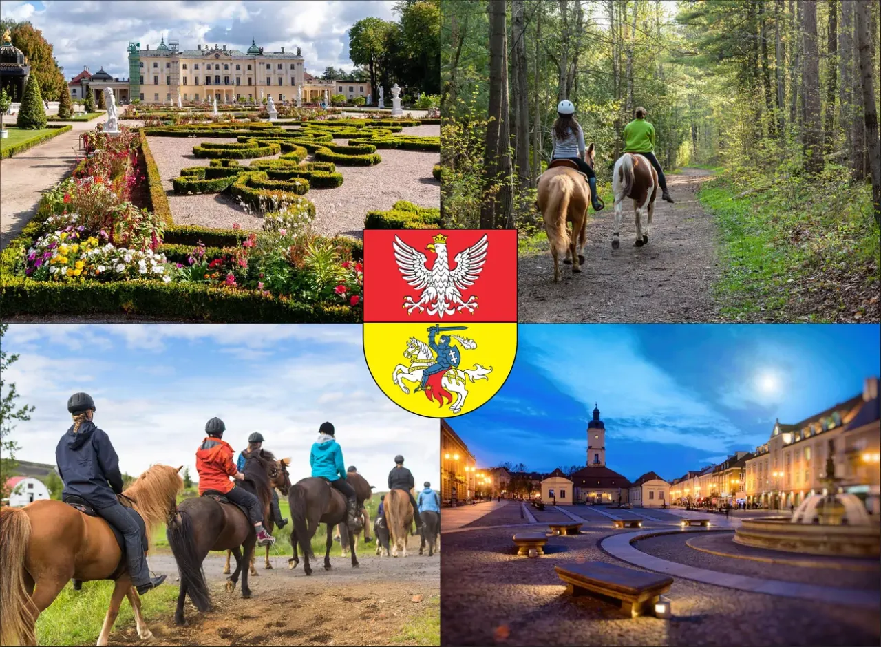 Lekcja jazdy konnej na lonży Botoja cennik