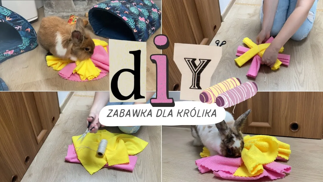 Zdjęcie Jak zrobić plac zabaw dla królika, aby zapewnić mu radość i bezpieczeństwo