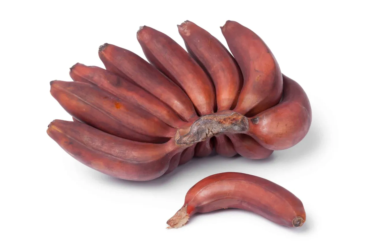 pokrojony banan dla konia