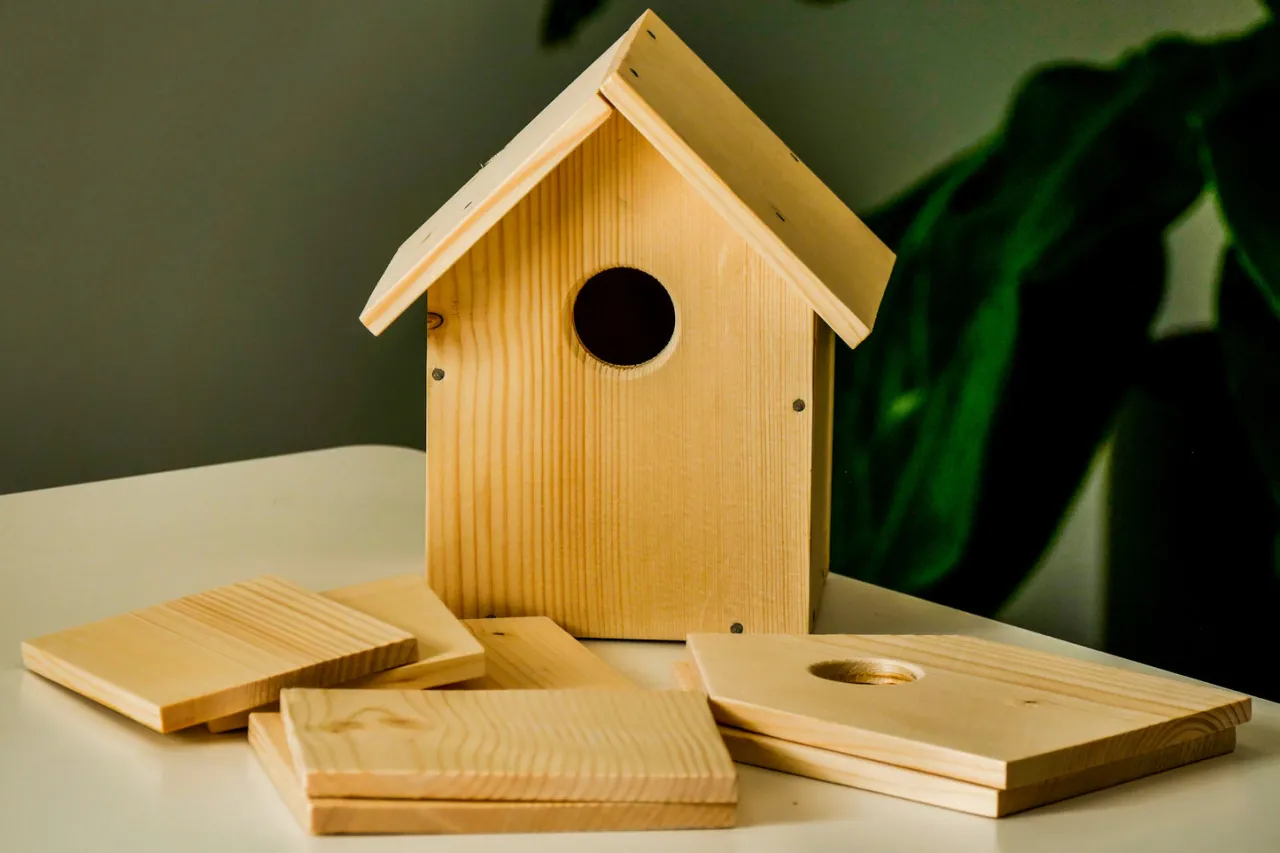 Wymiary budek lęgowych dla papug