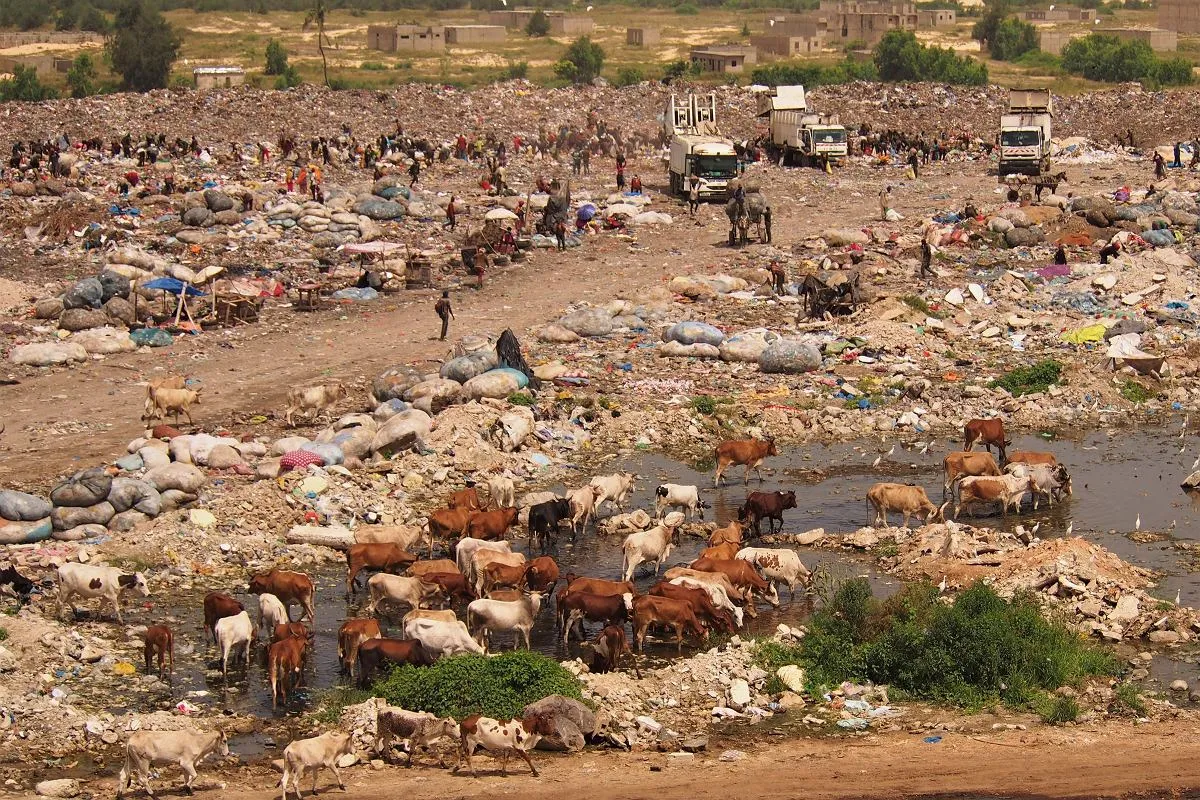 Góra śmieci, problem ekologiczny, globalne zanieczyszczenie