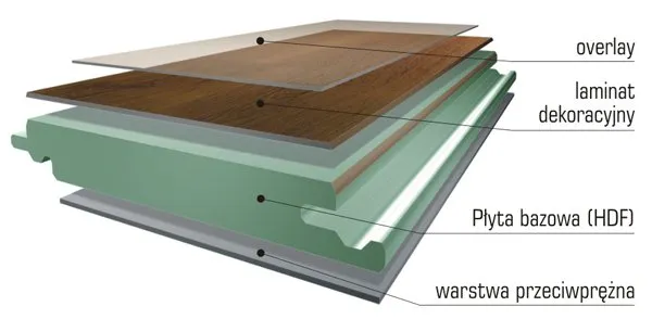 przekrój panelu podłogowego budowa warstwy