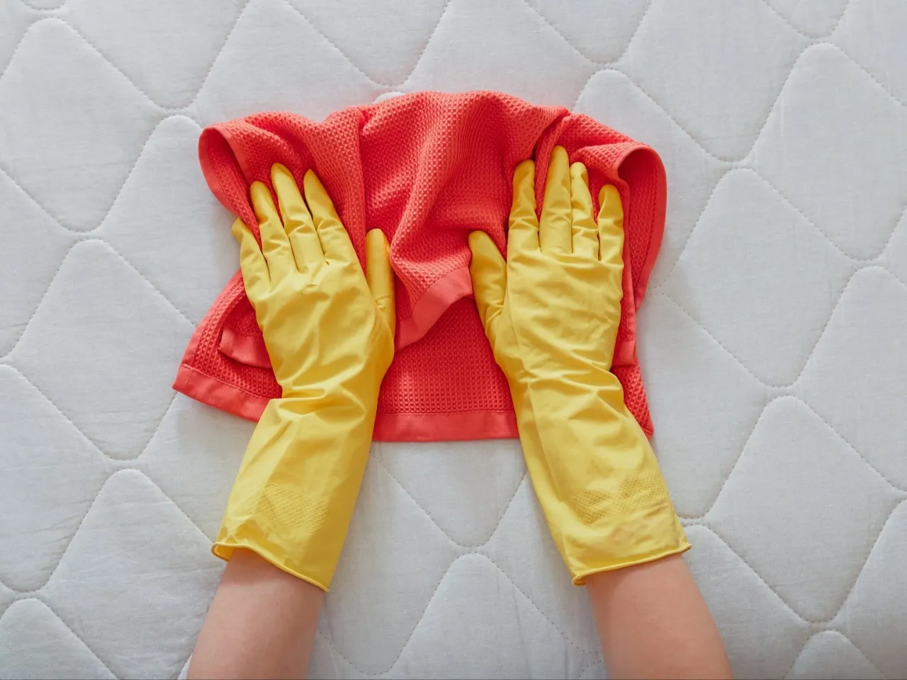 osoba delikatnie odsączająca świeżą plamę krwi z materaca