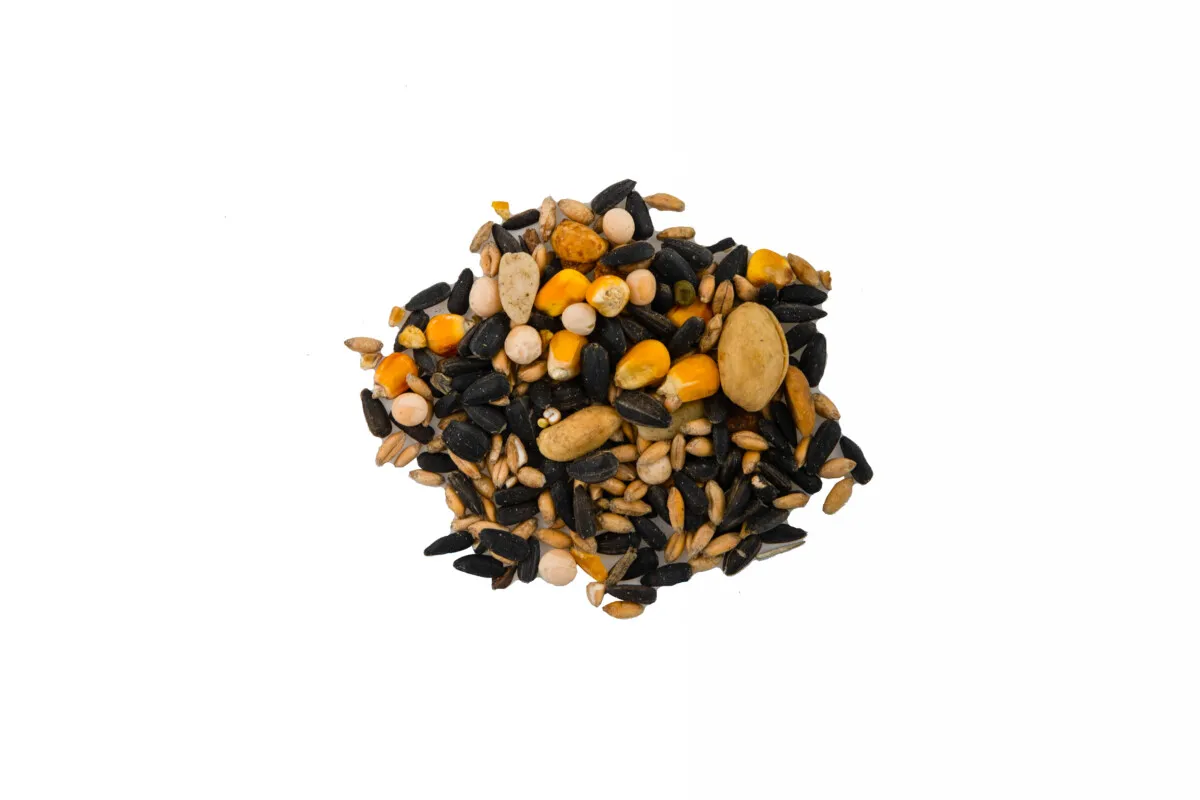 mieszanka ziaren dla wróbli i mazurków