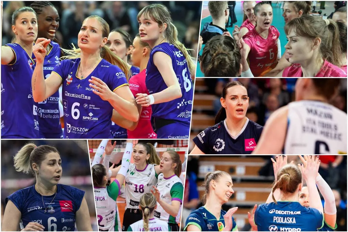 siatk&oacute;wka kobieca TAURON Liga mecz