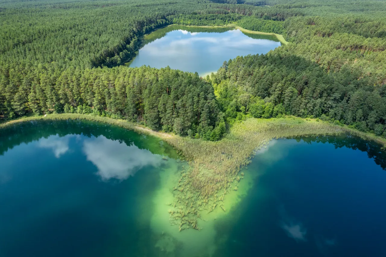 Bory Tucholskie krajobraz lasy jeziora