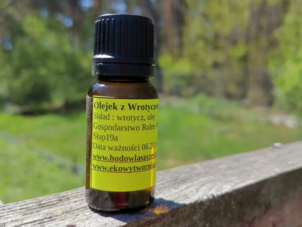 Wrotycz pospolity kwiaty i ziele