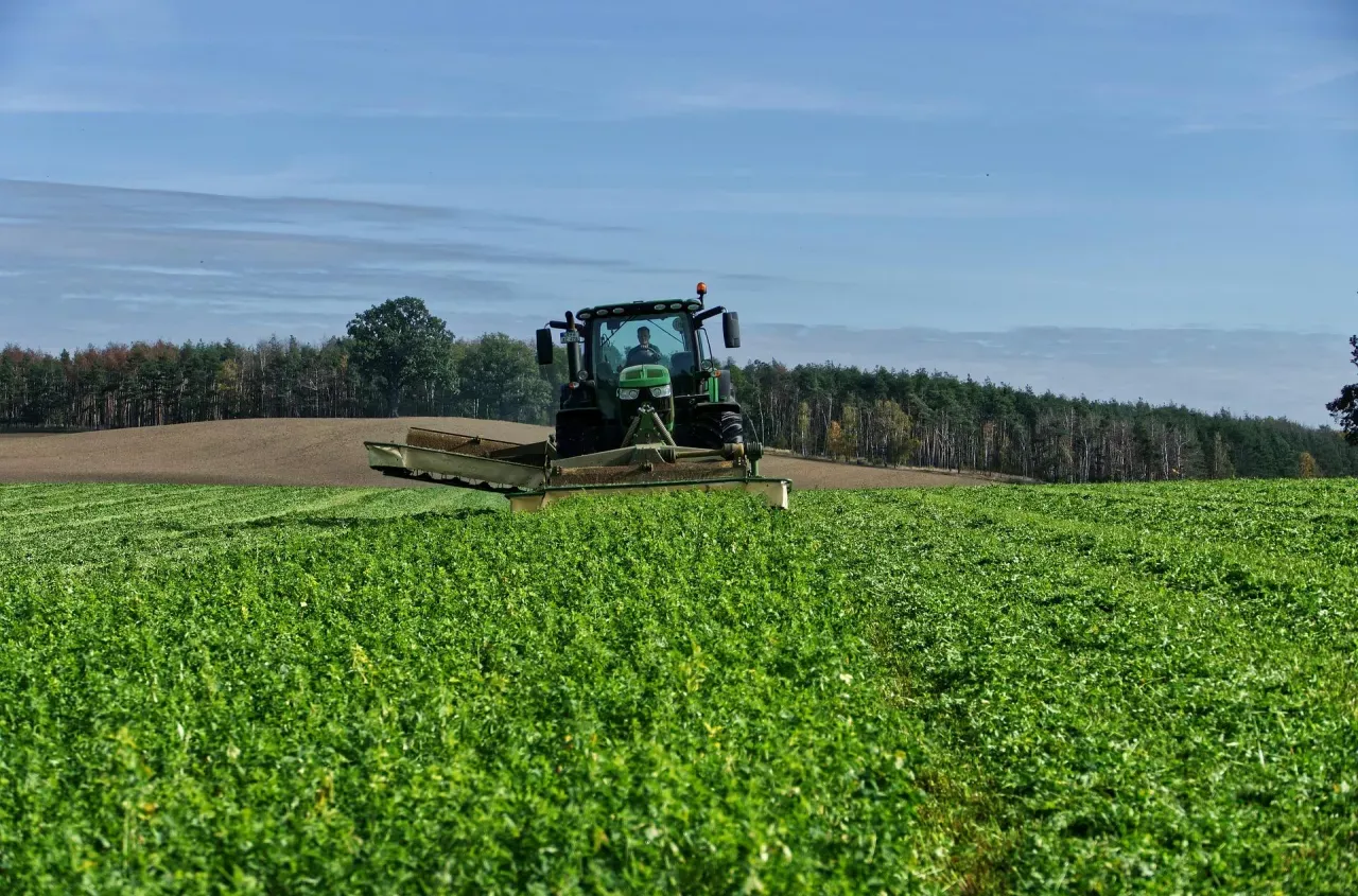 Zielony traktor kosi pole. Rolnik, kt&oacute;ry głosował za zielonym ładem, dba o naturę.