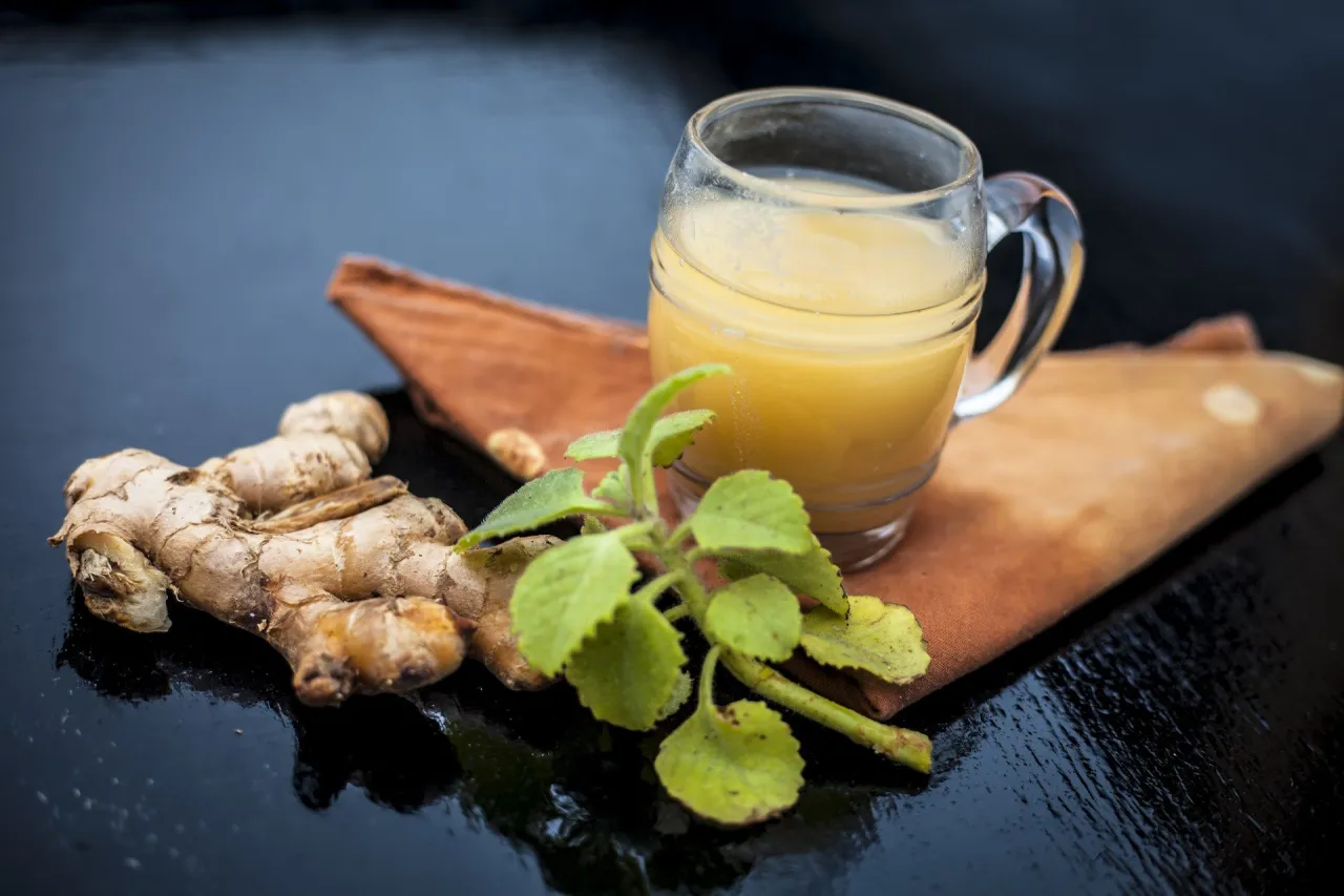 Świeży korzeń imbiru i suszony imbir