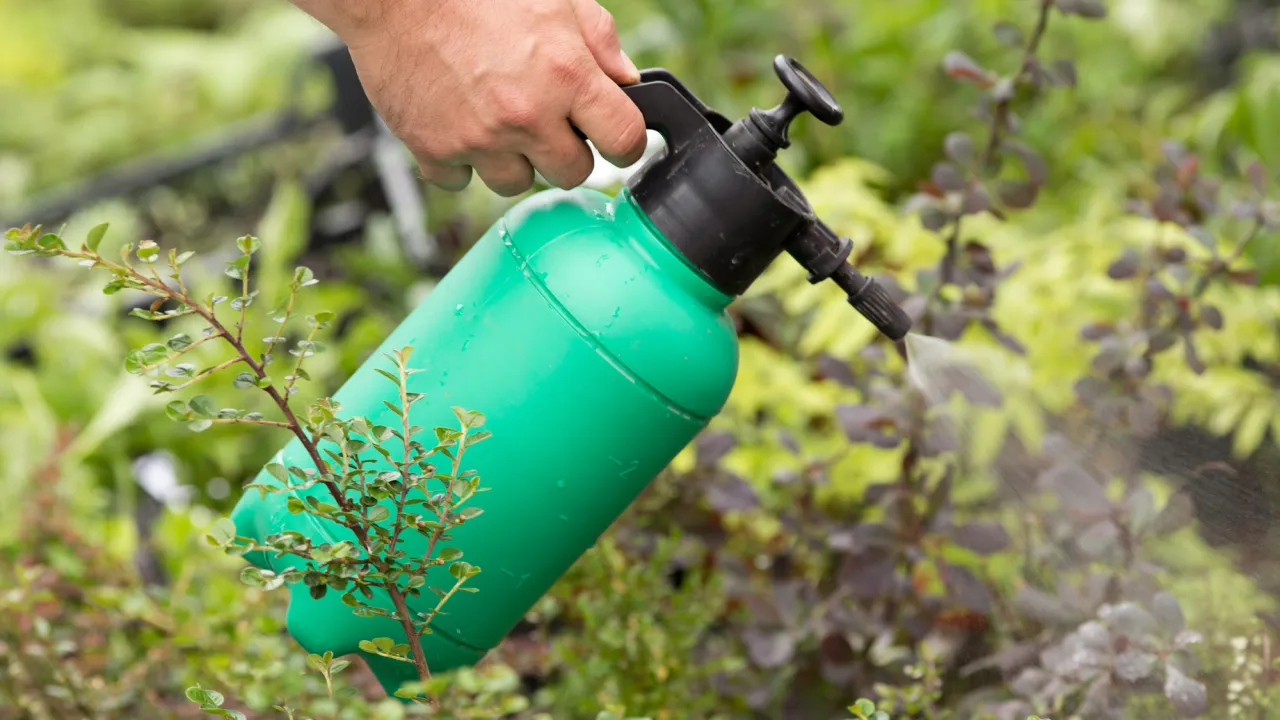 opryskiwacz ogrodowy zastosowanie