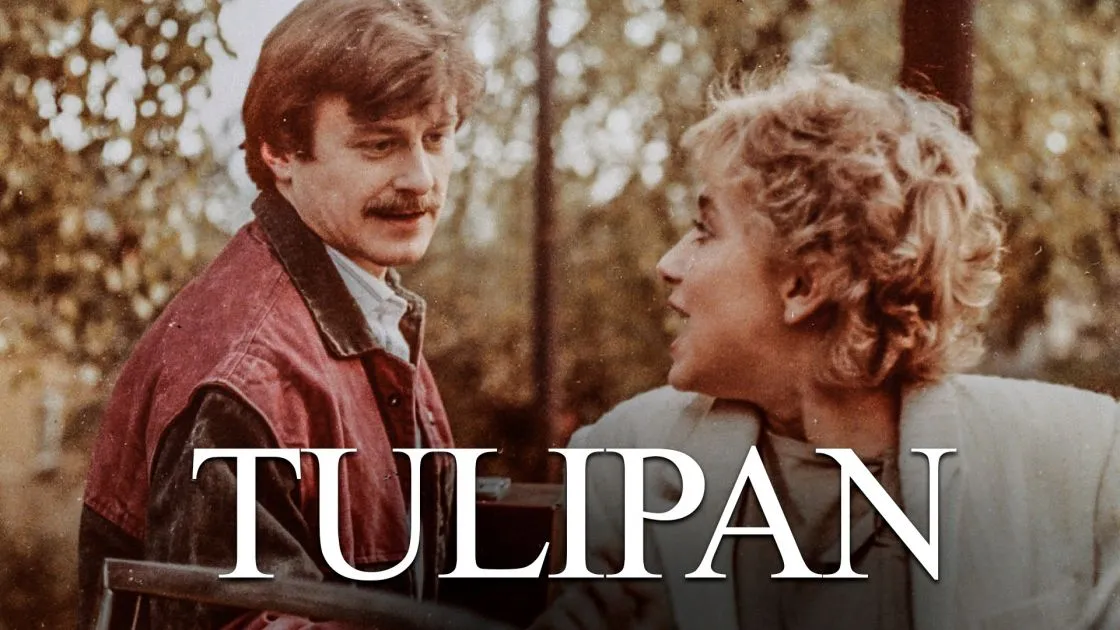 Zdjęcie Serial Tulipan - dokładna liczba odcinków i czas trwania pierwszego sezonu