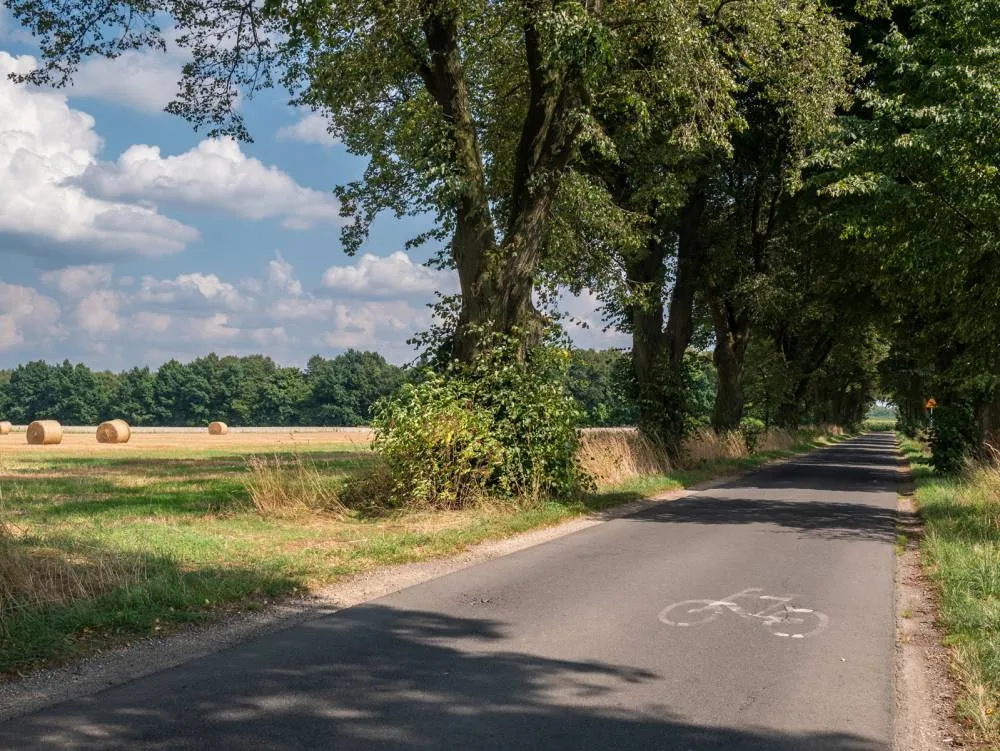 Zdjęcie Trasy rowerowe Ustroń – odkryj najlepsze szlaki i ich trudność