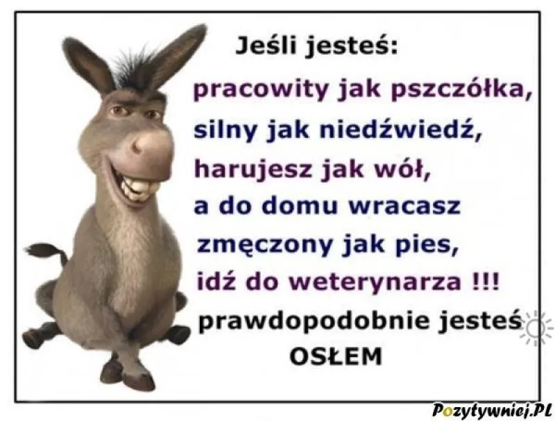 Zdjęcie Śmieszne cytaty o pracy: 10 dowcipnych sentencji na poprawę humoru