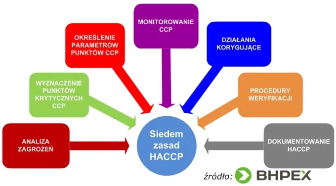 Zdjęcie Krytyczna analiza substancji: klucz do bezpieczeństwa i skuteczności leków