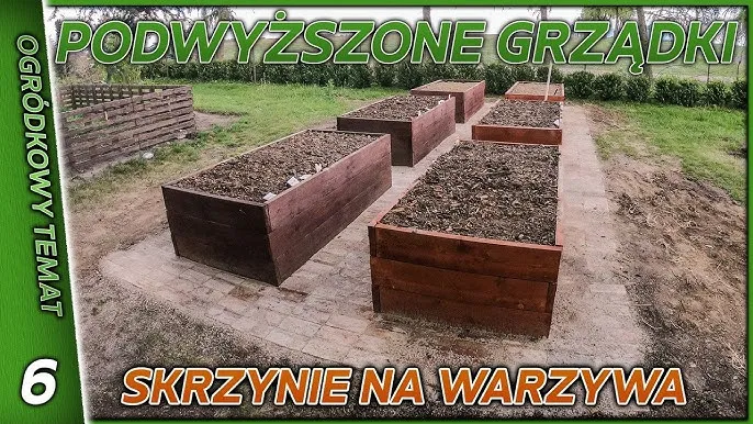 Zdjęcie Jak zrobić donice na warzywa - proste sposoby na udaną uprawę