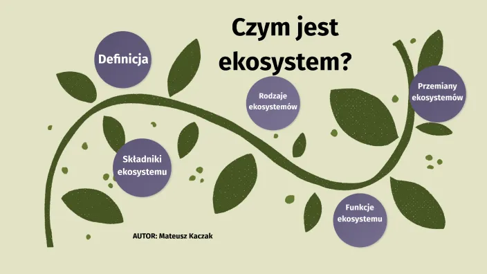 Zdjęcie Co oznacza ekosystem? Kluczowe pojęcie w ekologii wyjaśnione