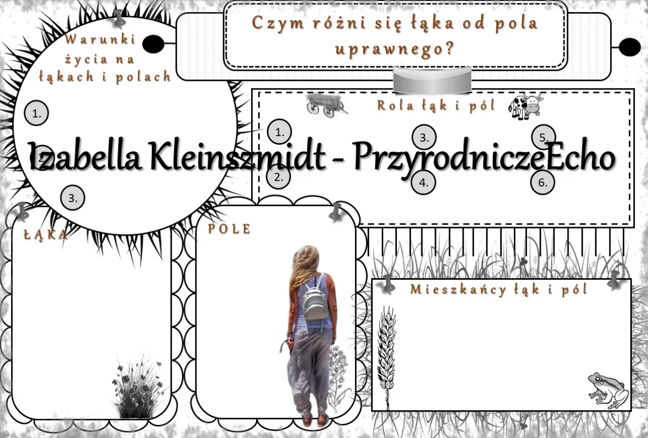 Zdjęcie Czym różni się praca klasowa od sprawdzianu? Kluczowe różnice i porady dla uczniów