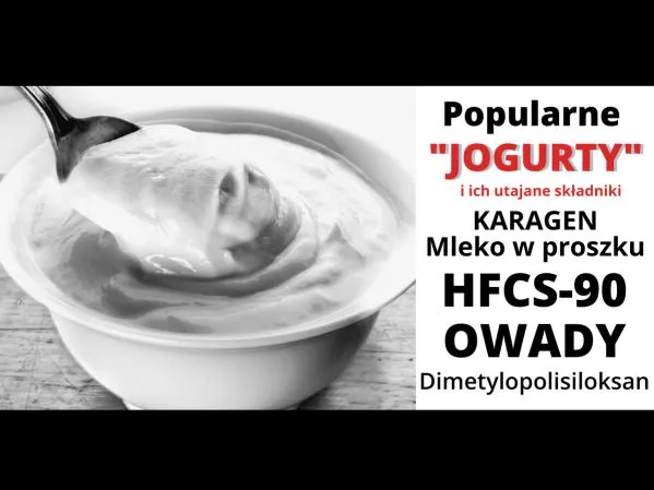 Zdjęcie Czy jogurt gratka jest zdrowy? Odkryj jego ukryte składniki i wartości
