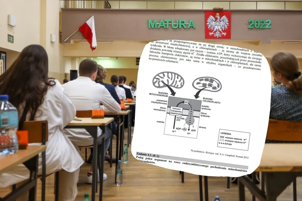 Zdjęcie Co zawsze jest na maturze z biologii? Kluczowe tematy i pytania