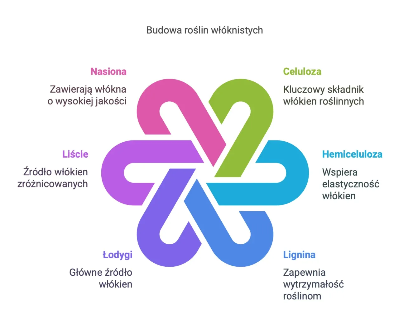 Zdjęcie Jakie są włókna roślinne? Odkryj ich właściwości i zastosowania