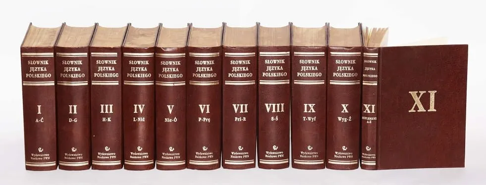 Zdjęcie Słownik Doroszewskiego: historia, znaczenie i dostępność online