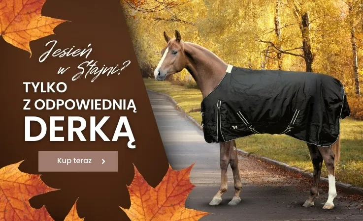 Zdjęcie York jeździectwo: poznaj najlepsze akcesoria dla jeźdźców i koni