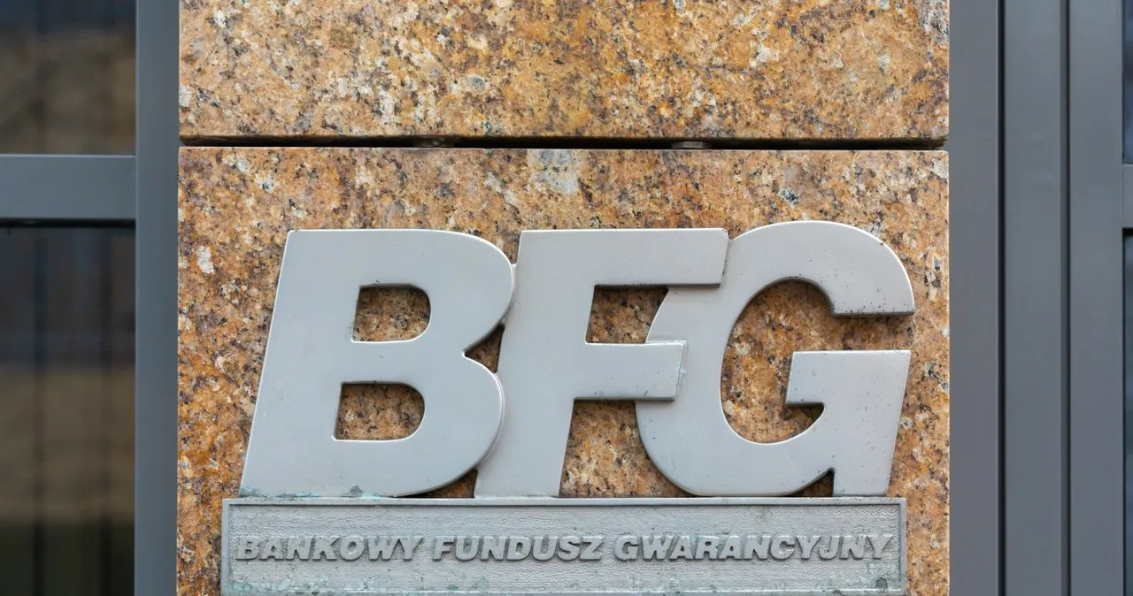 Zdjęcie Co to za nowy bank BFG? Sprawdź szczegóły o nowym banku BFG