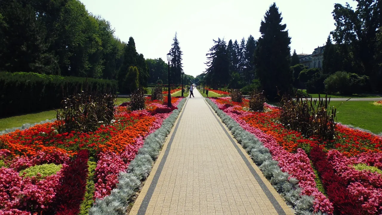 Ciechocinek dywany kwiatowe