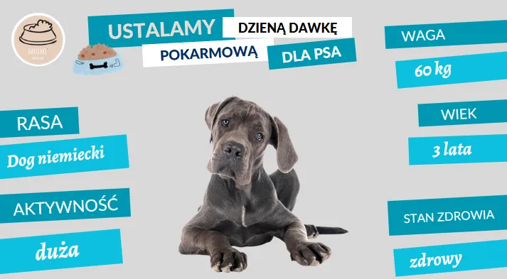 bezpieczne i niebezpieczne mięso dla psa infografika