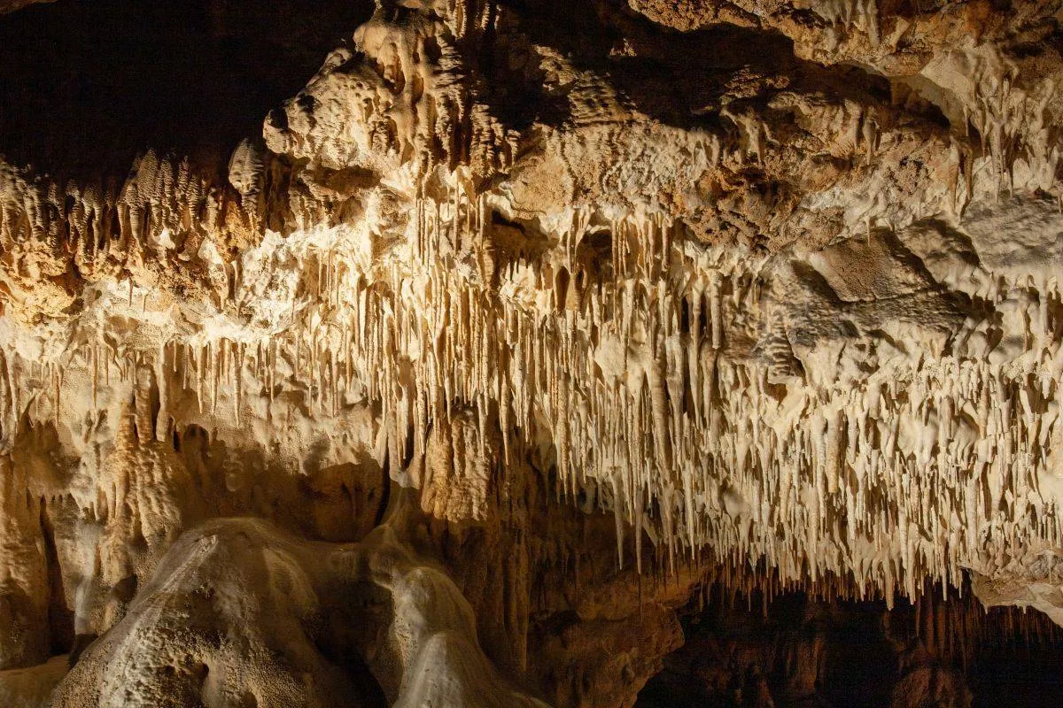 Niezwykłe stalaktyty i stalagmity w jaskini. G&oacute;ry Świętokrzyskie co zobaczyć? To miejsce jest obowiązkowym punktem na mapie!
