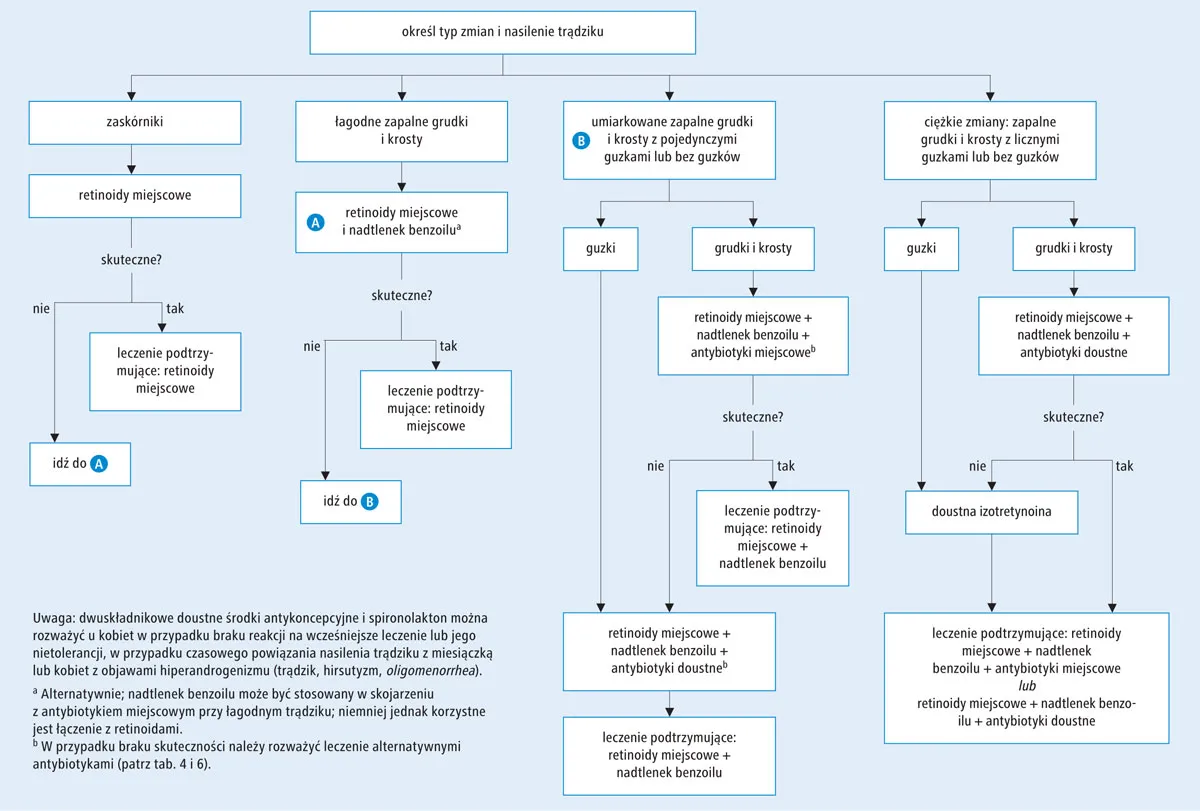 Mechanizmy powstawania trądziku schemat