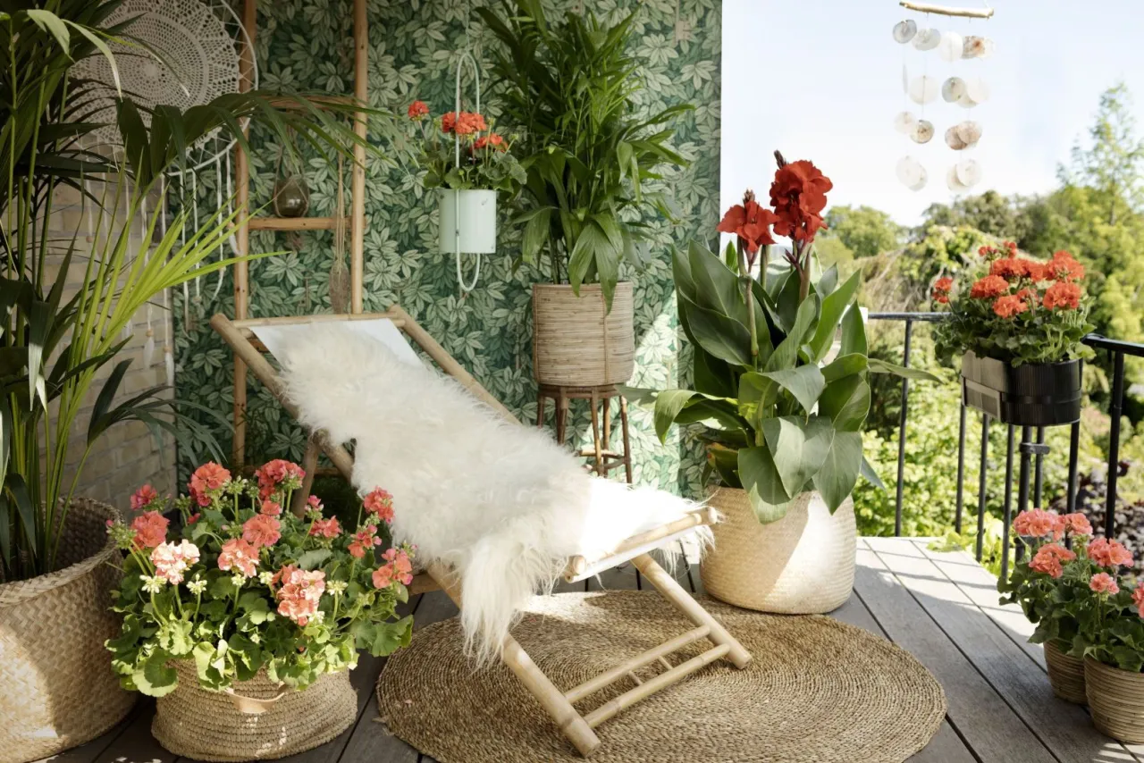 Relaks na balkonie wśr&oacute;d ciekawych kwiat&oacute;w: czerwone kanny, pelargonie i palmy w wiklinowych koszach.