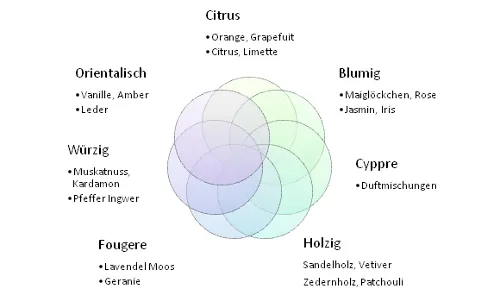verschiedene Duftfamilien Parfüm