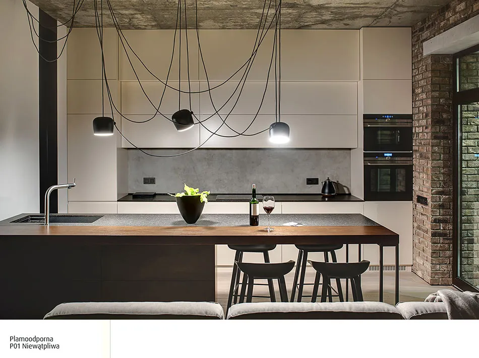 Kuchnia w stylu industrialnym z betonową ścianą