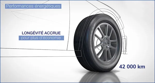 Norauto Prevensys 4 wet braking label A