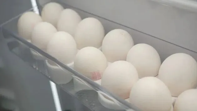 wiejskie jajka w lodówce